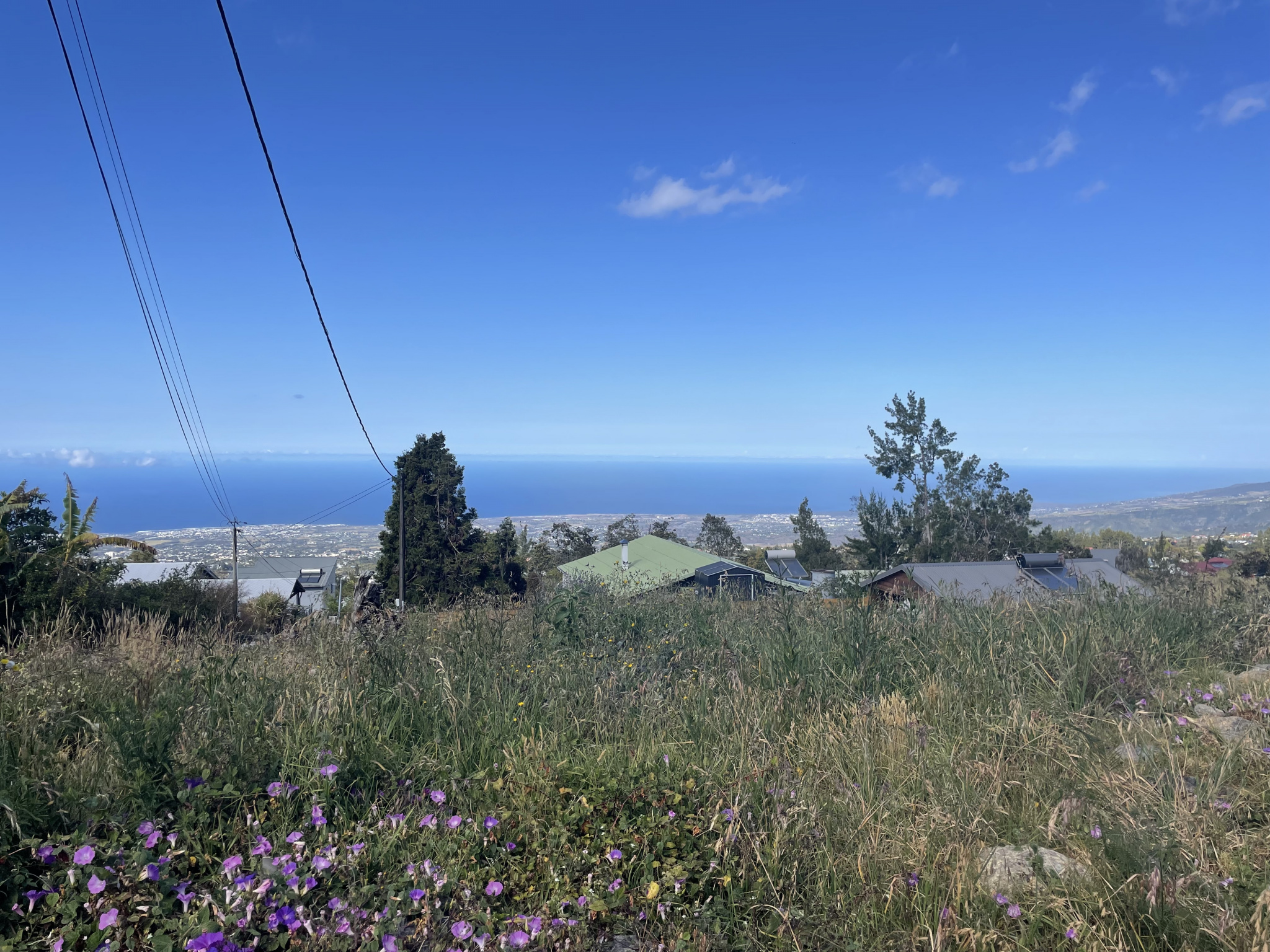 Terrain - La plaine des cafres