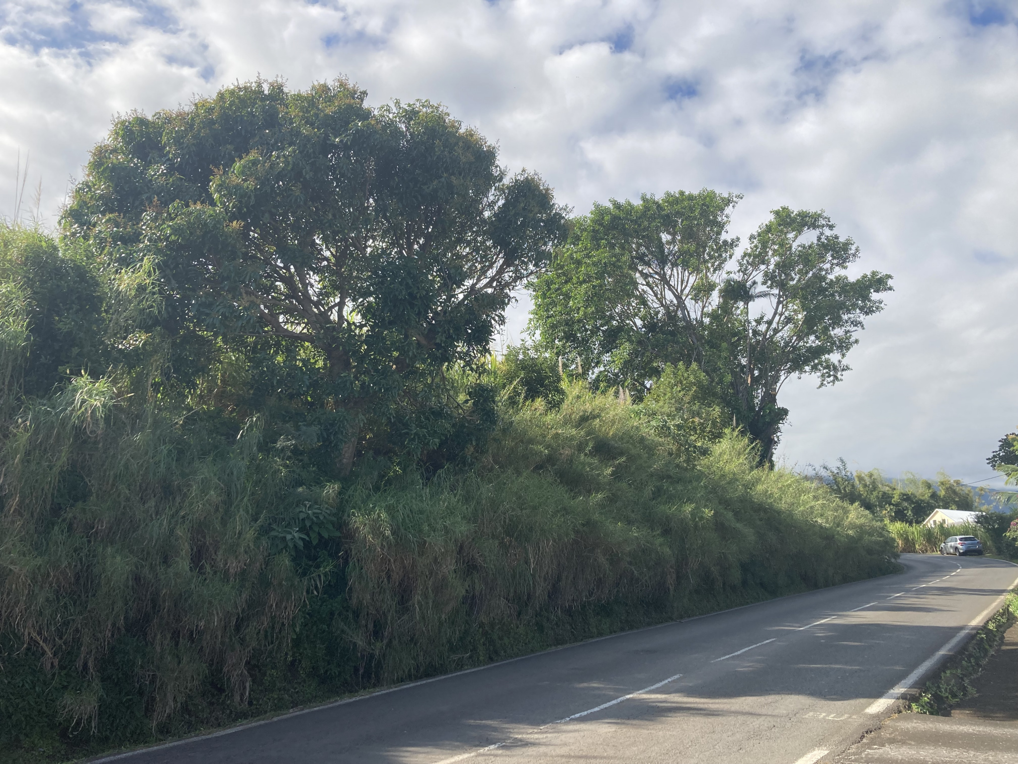 Vente Terrain Saint-Joseph
