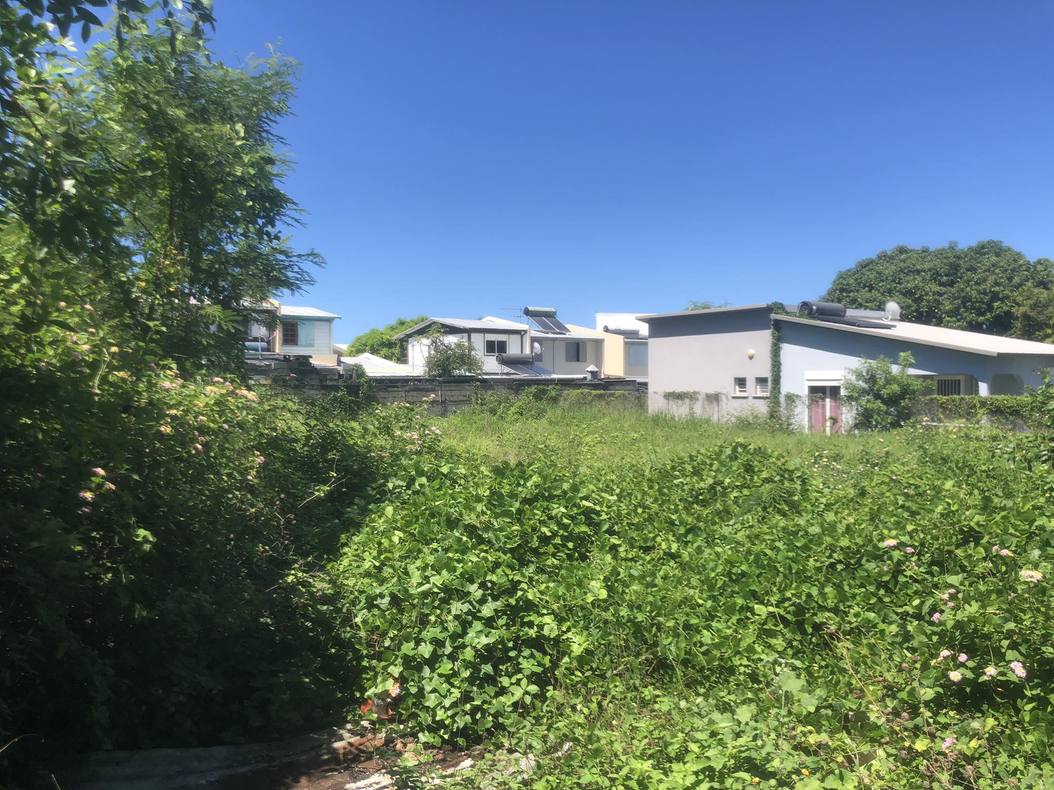 Vente Terrain Saint-Louis