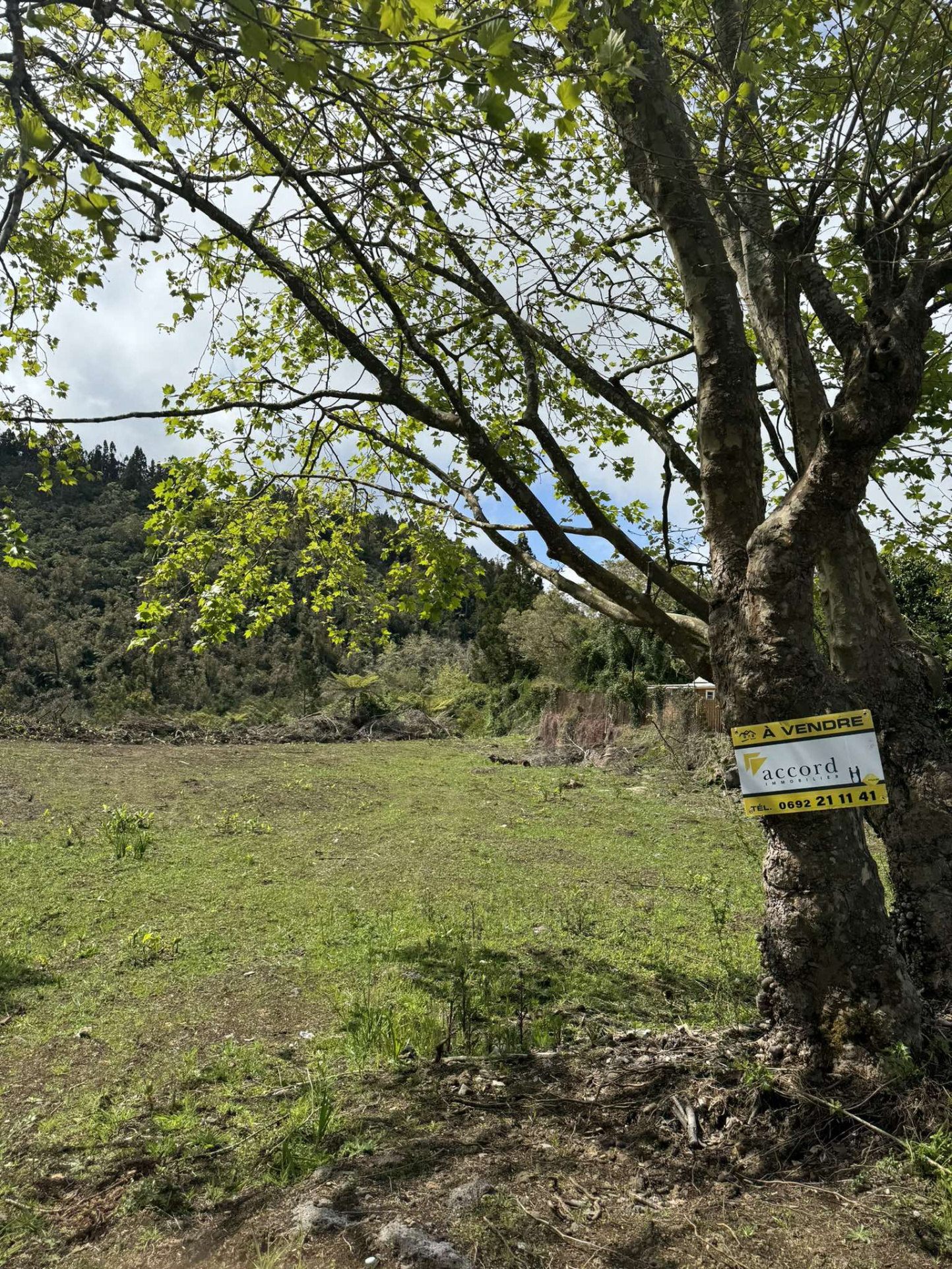 Terrain - La plaine des cafres