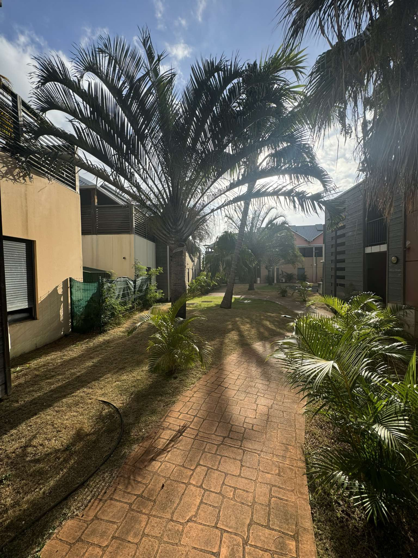 Appartement - Saint-Pierre