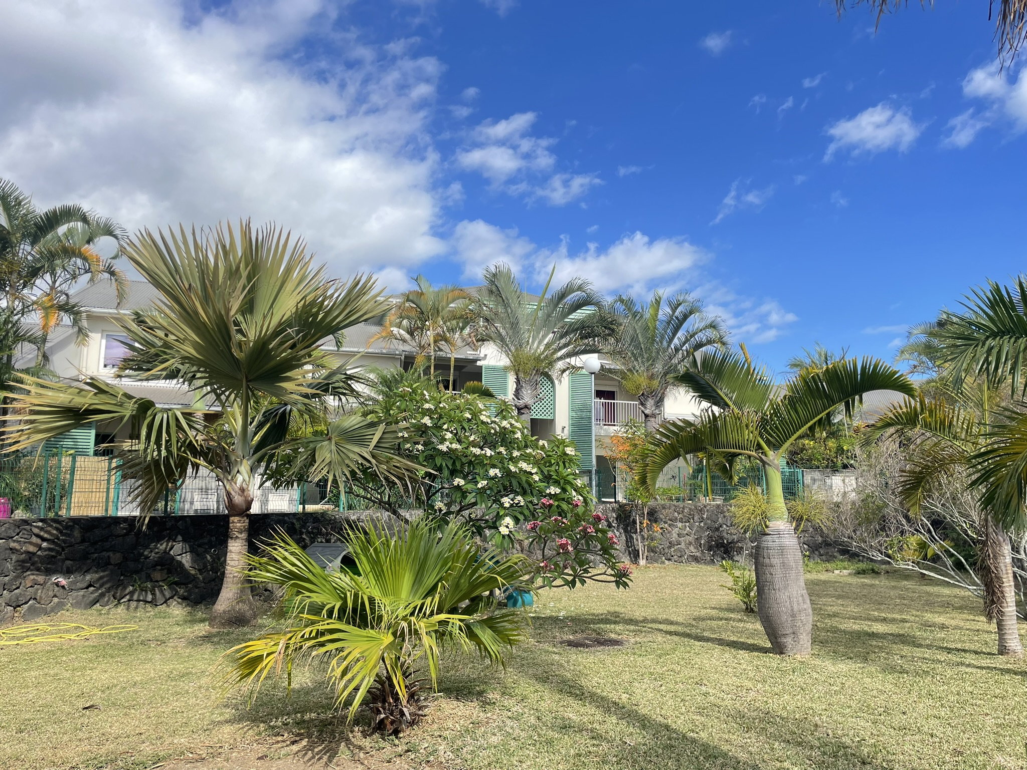 Appartement - 