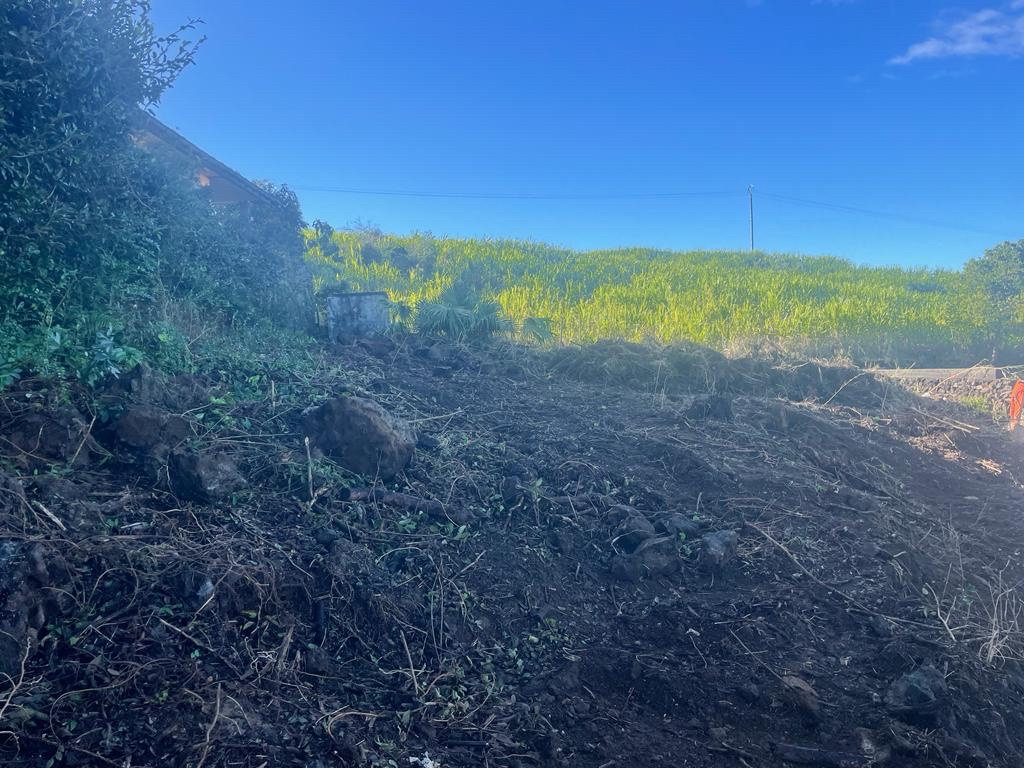 Vente Terrain Petite-le