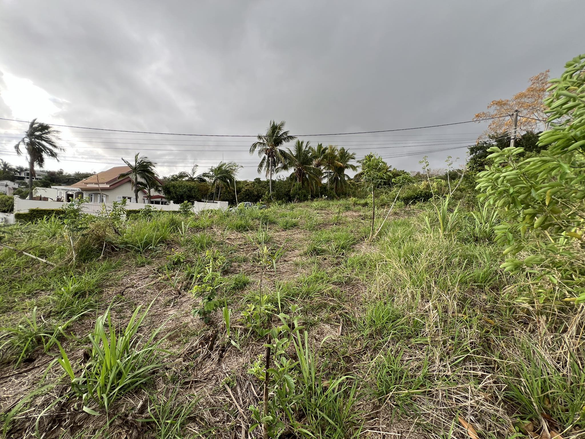 Terrain - Saint-Louis