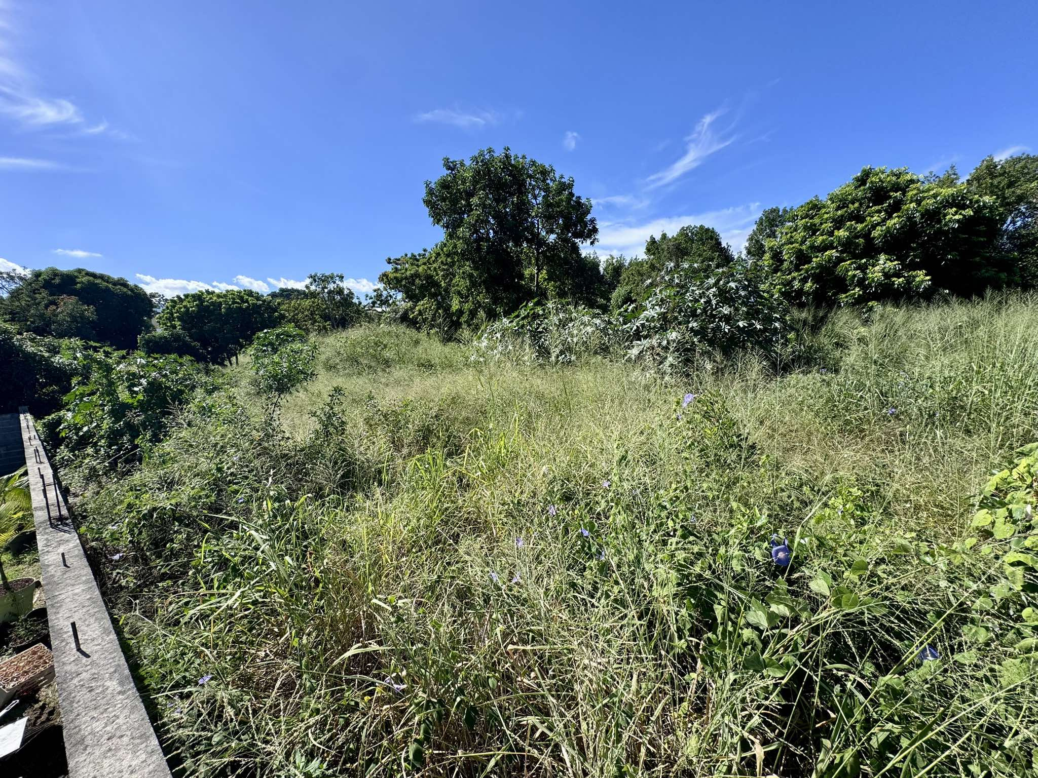 Terrain - Saint-Pierre