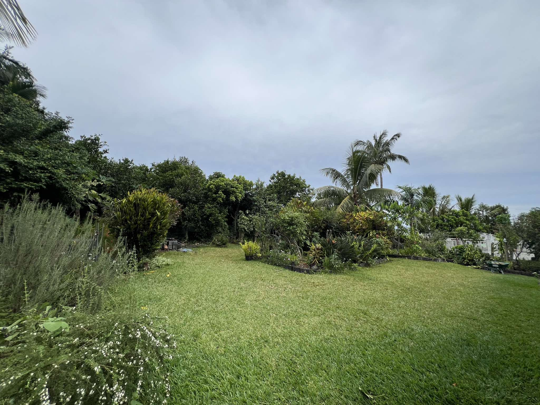 Terrain - Saint-Leu
