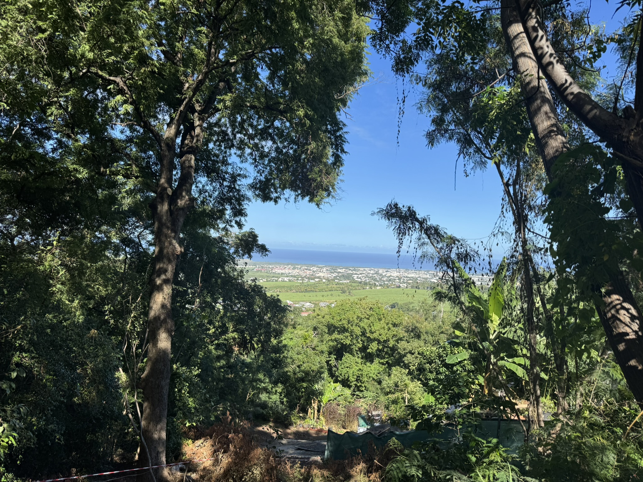 Terrain - Saint-Louis