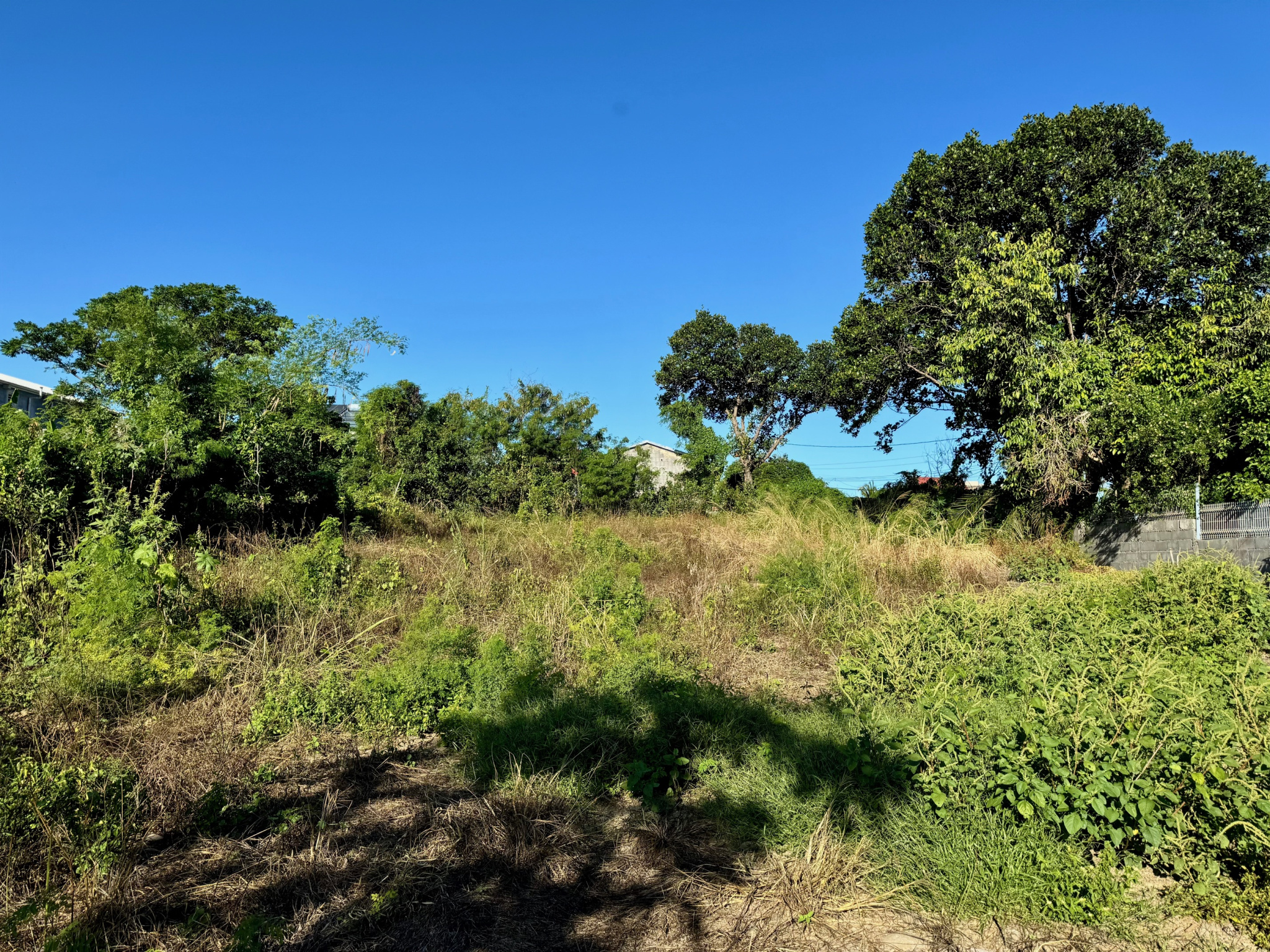 Vente Terrain Saint-Louis