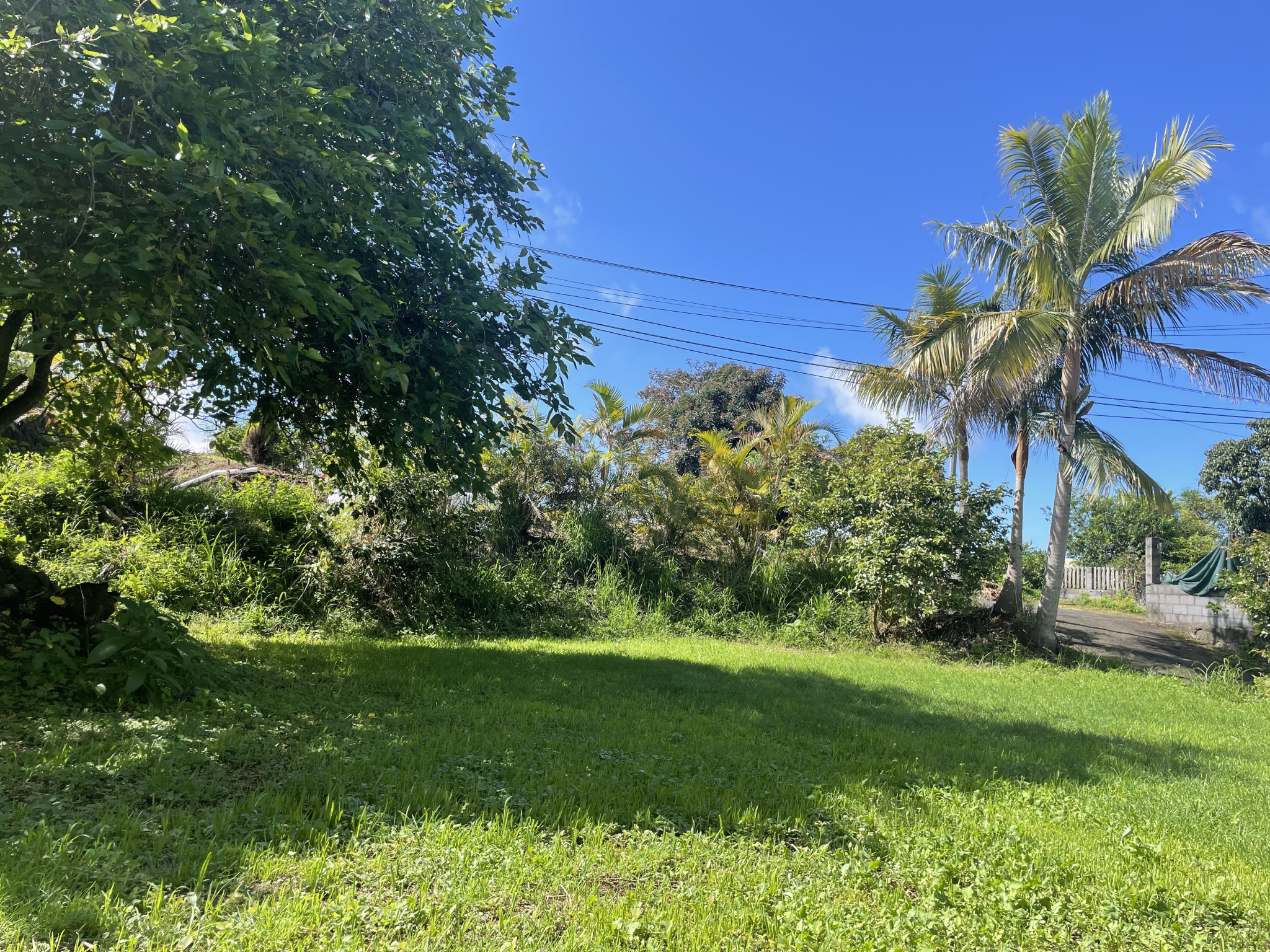 Vente Terrain Tampon